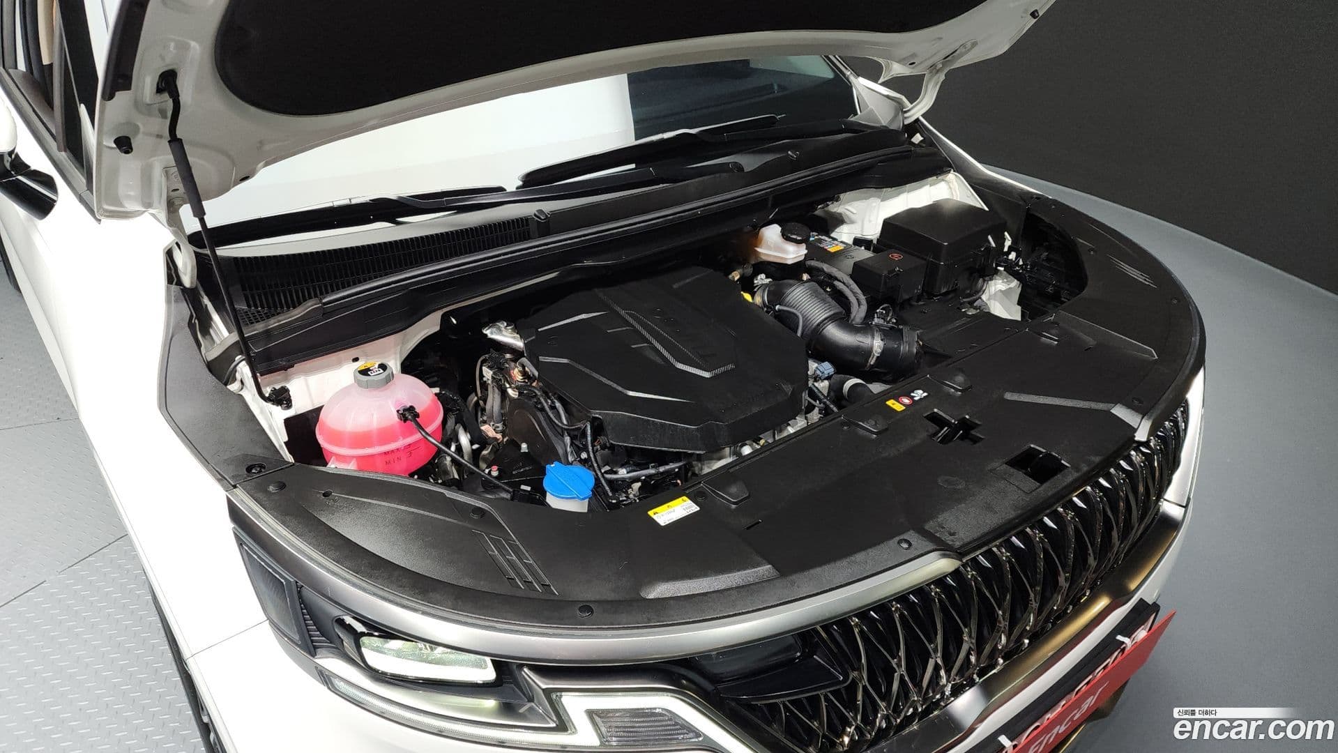 Main__Slider__Photo:Canival Kia 2023.2-5