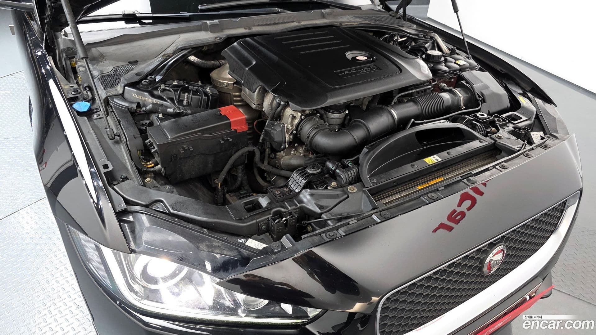 Main__Slider__Photo:XE Jaguar 2015.8-5