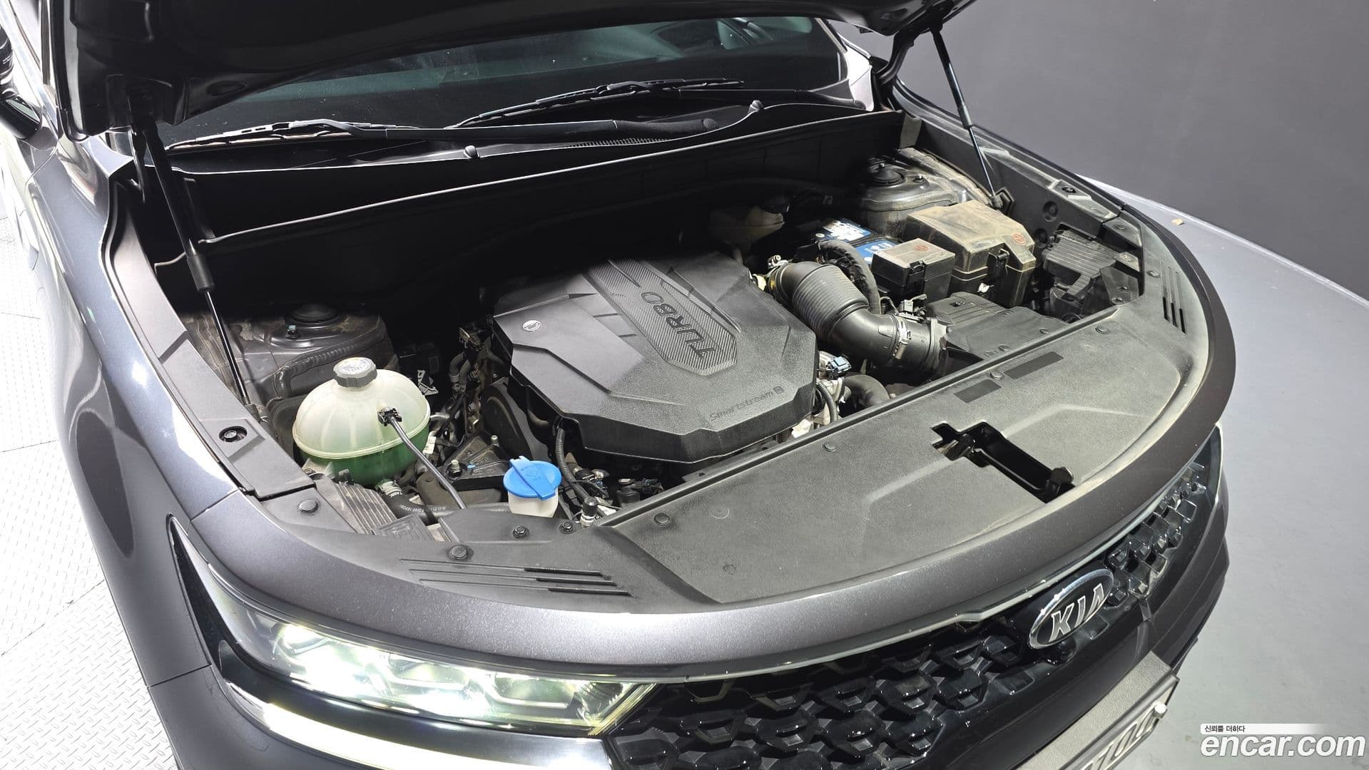 Main__Slider__Photo:Sorento Kia 2020.5-5