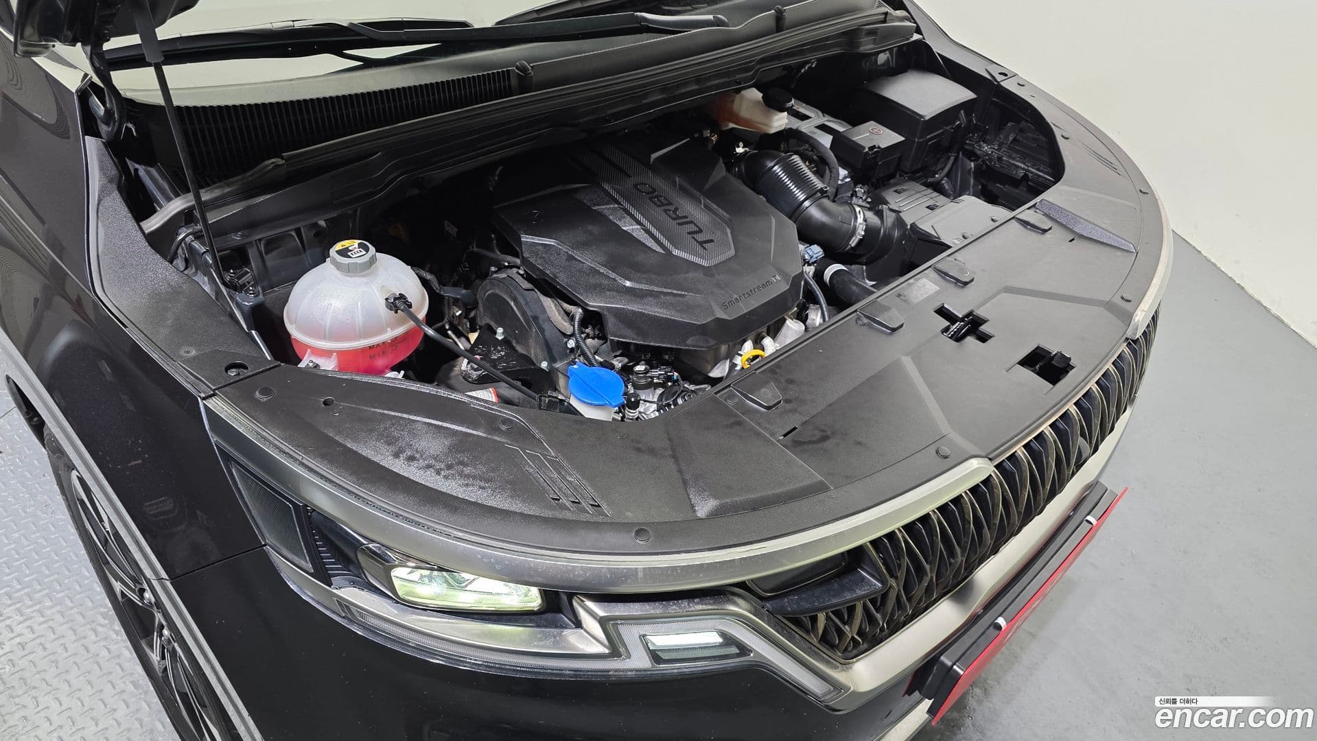 Main__Slider__Photo:Canival Kia 2021.11-5