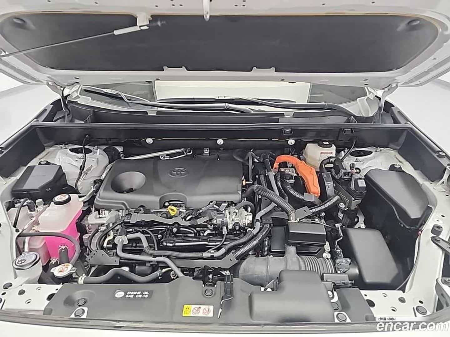 RAV4 Toyota 2023.11-OUTER-005