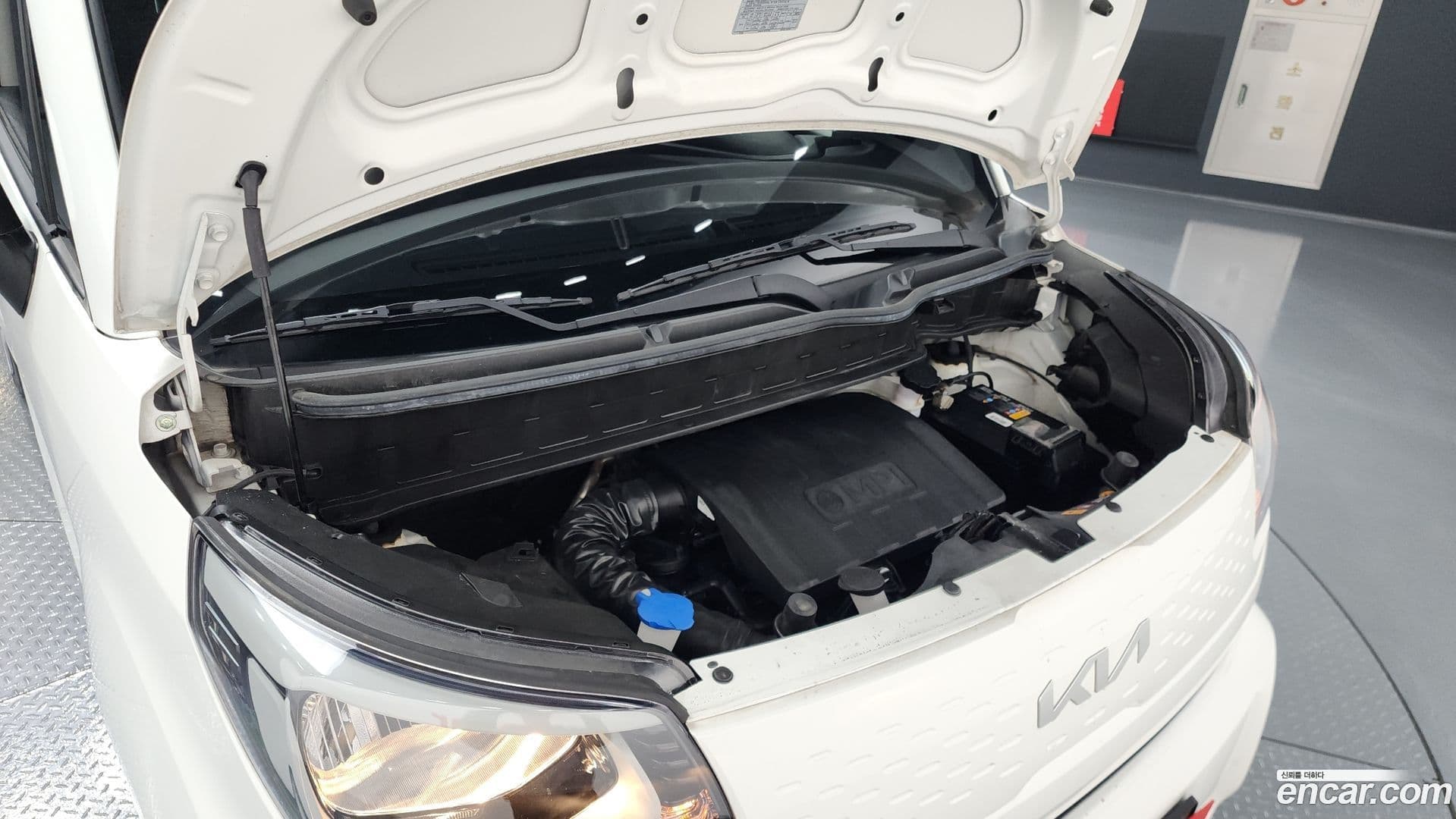 Main__Slider__Photo:RAY Kia 2022.3-5