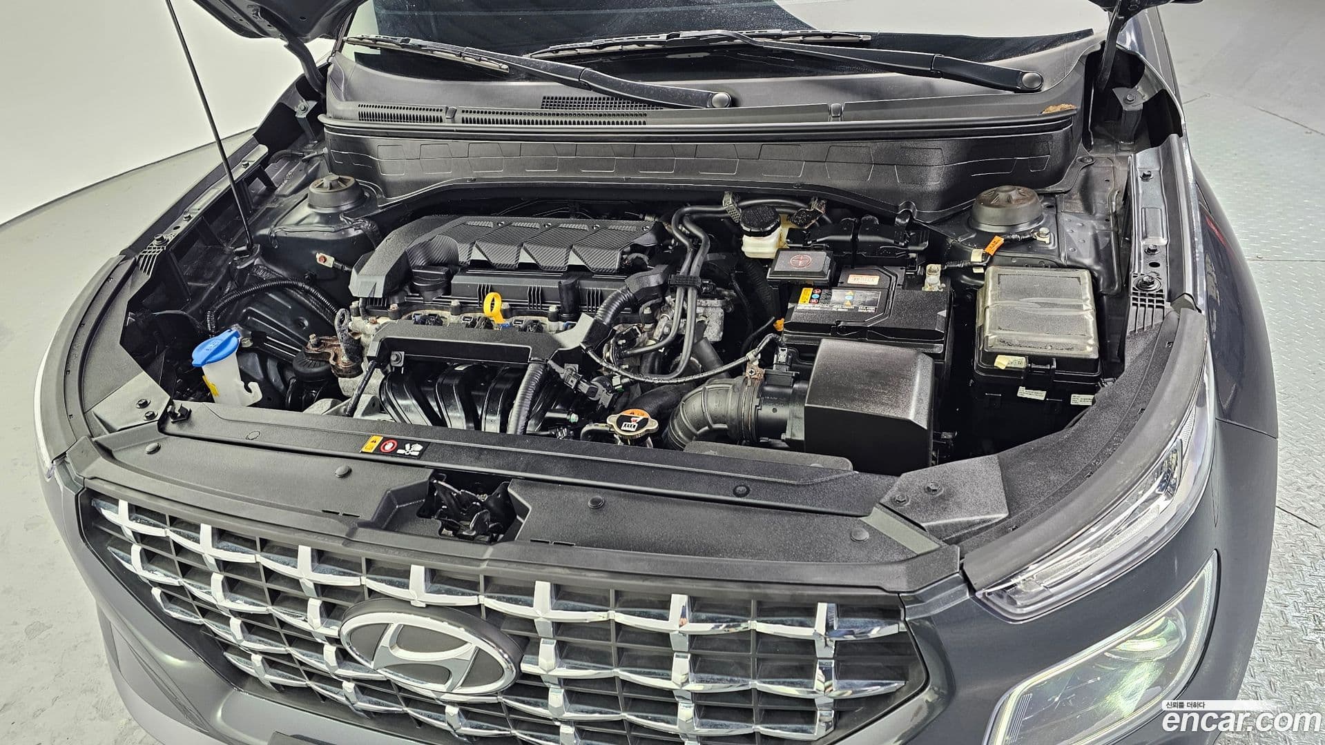 Main__Slider__Photo:Venue Hyundai 2022.5-5