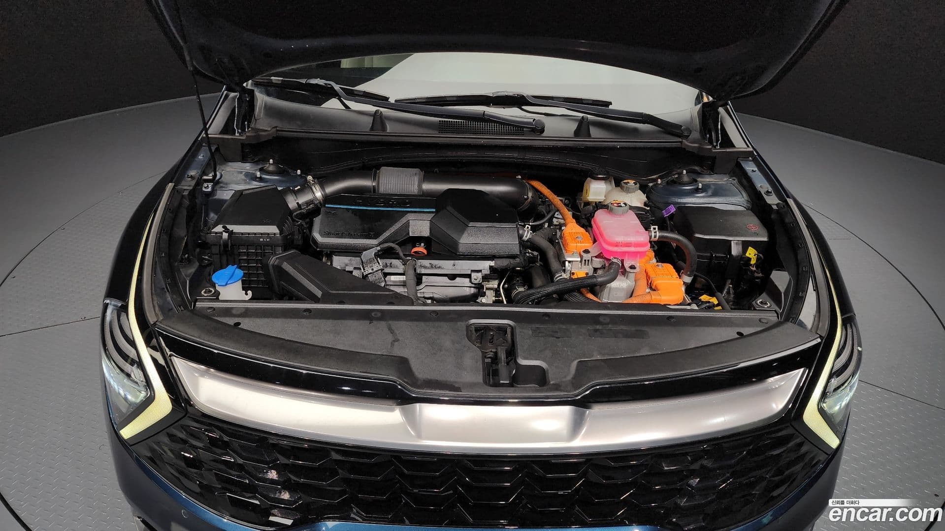 Main__Slider__Photo:Sportage Kia 2021.10-5