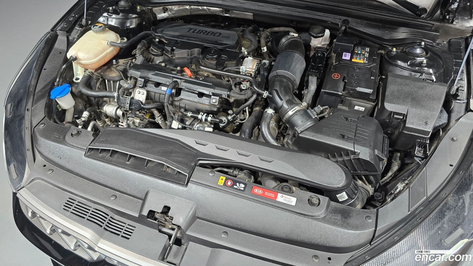 Main__Slider__Photo:K5 Kia 2021.6-5