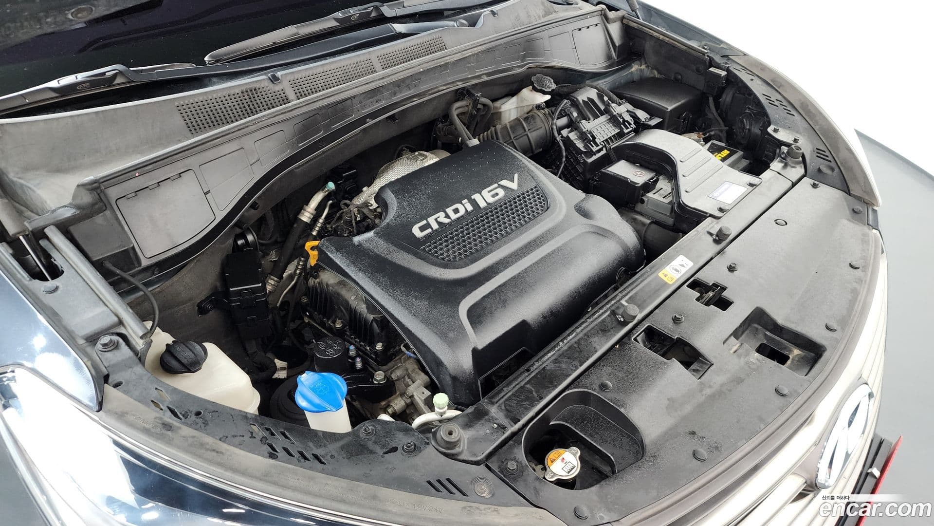 Main__Slider__Photo:Maxcruz Hyundai 2017.3-5