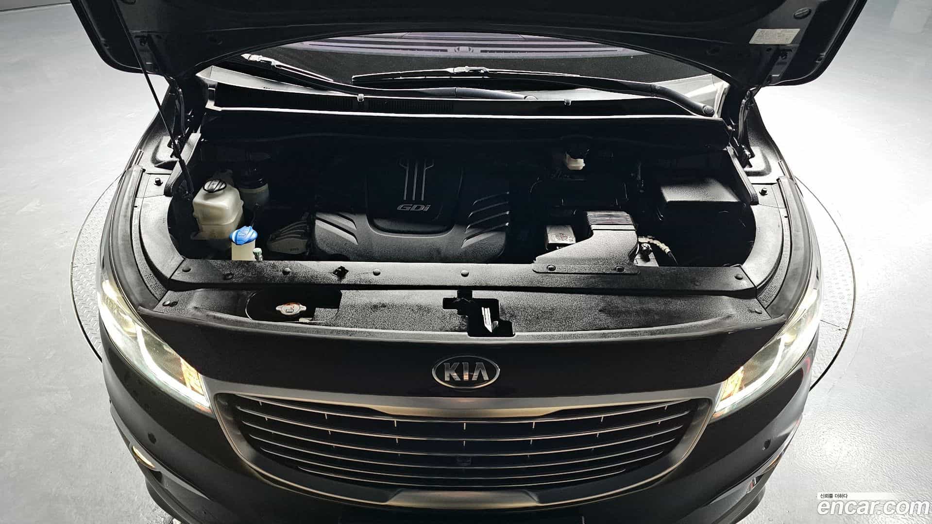 Canival Kia 2016.11-INNER-006