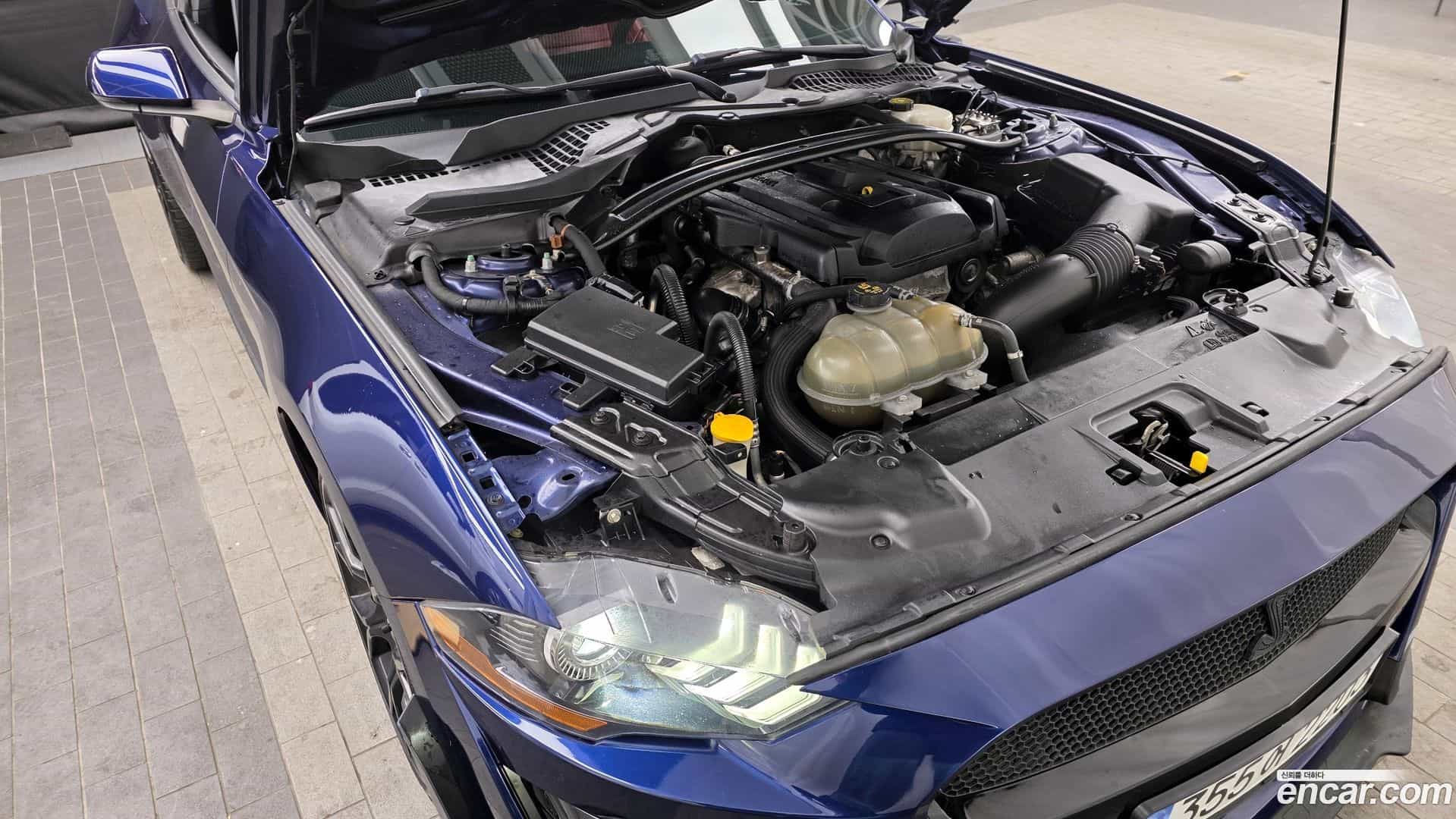 Mustang Ford 2019.2-INNER-006