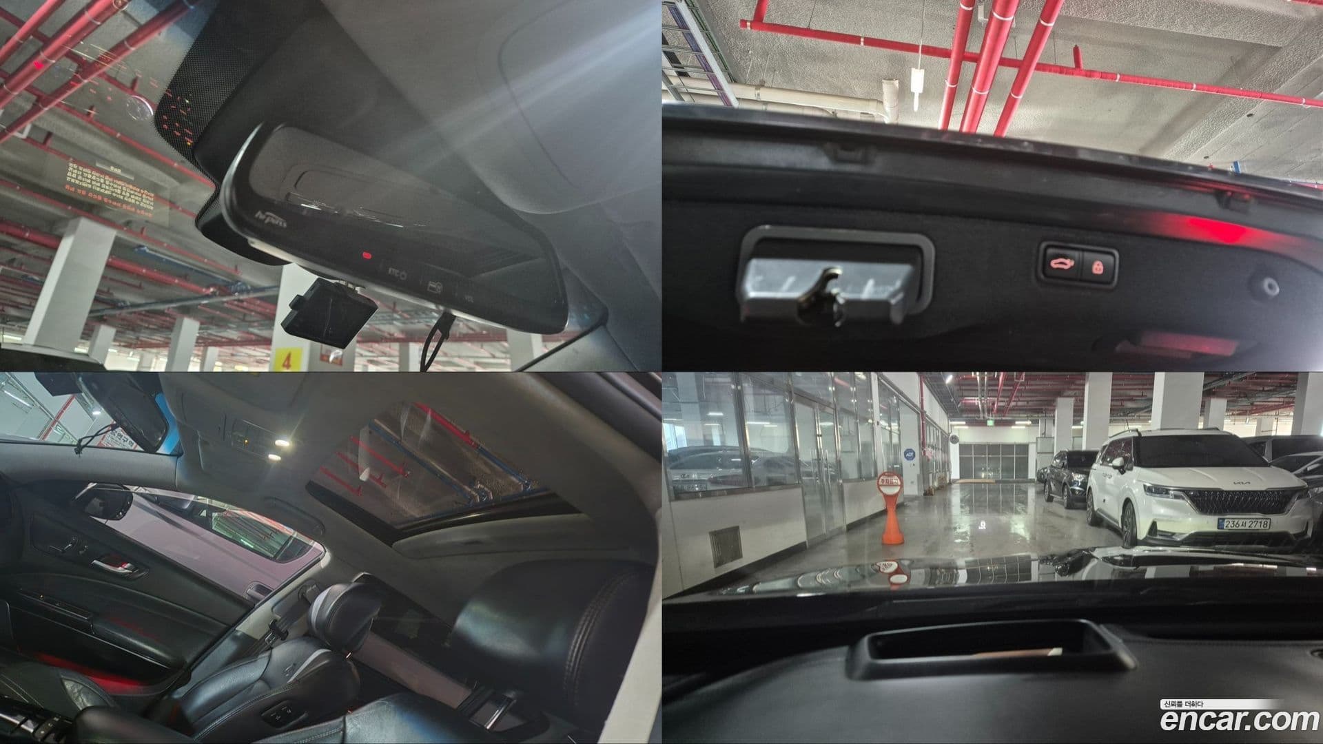 Main__Slider__Photo:K9 Kia 2012.6-17