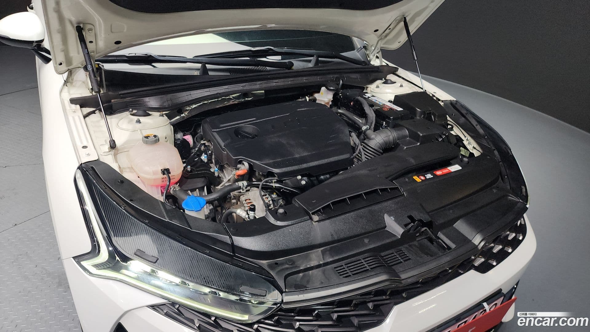 Main__Slider__Photo:K5 Kia 2020.11-5