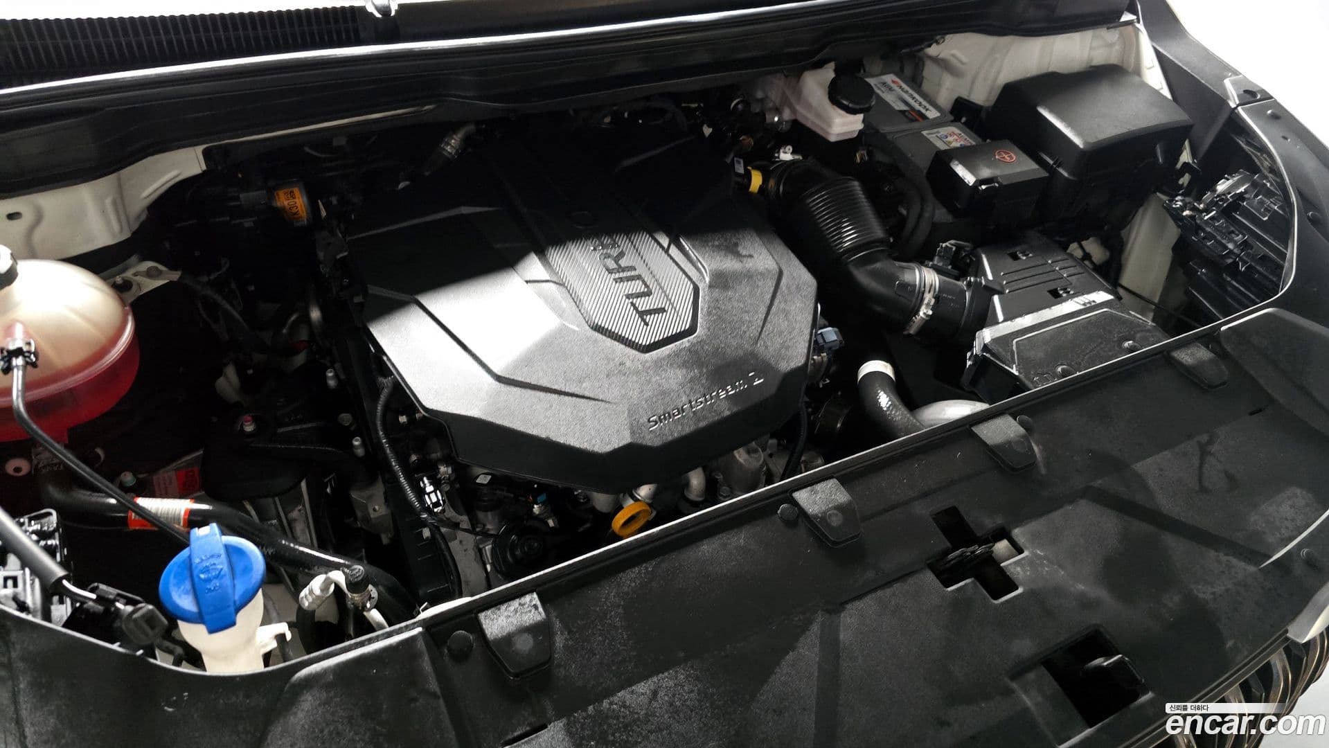 Main__Slider__Photo:Canival Kia 2021.3-5