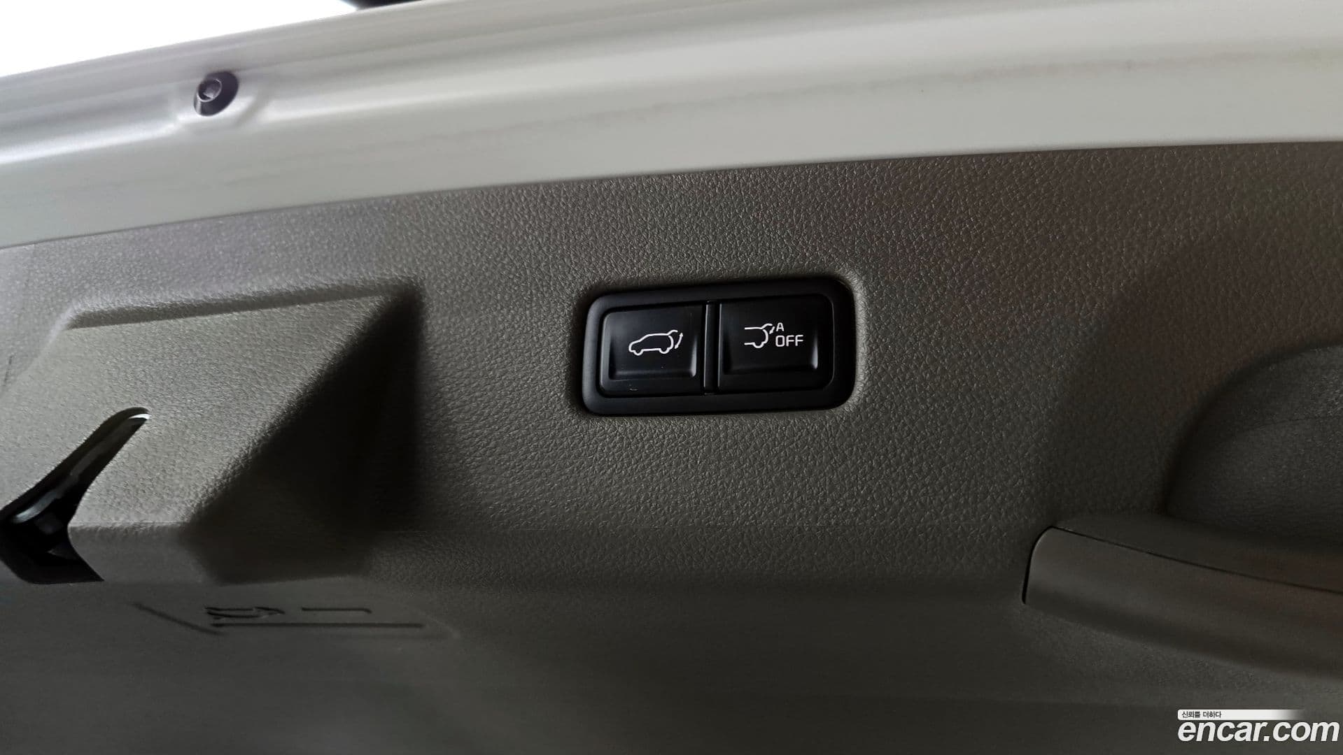 Main__Slider__Photo:Canival Kia 2021.3-19