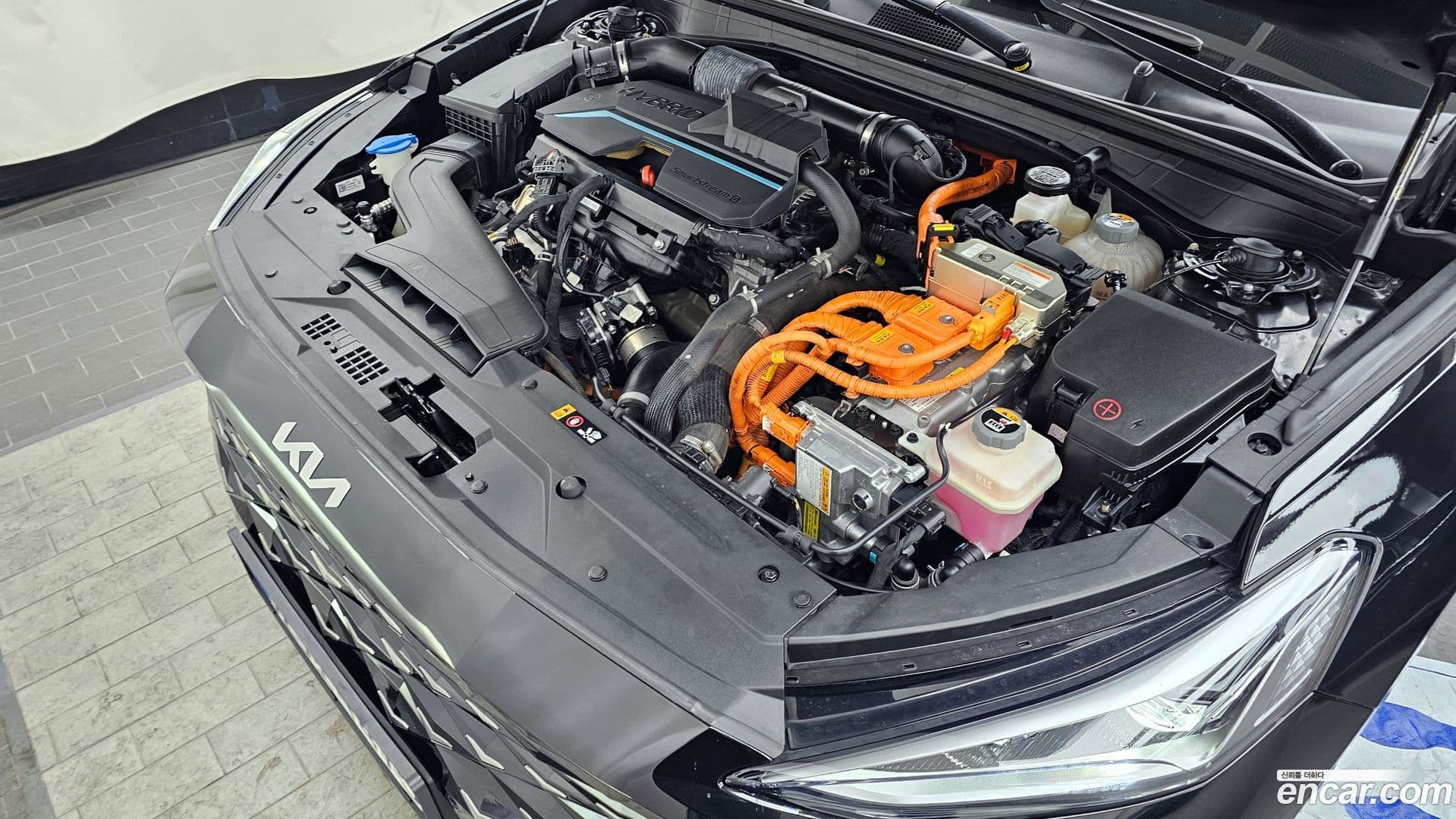 Main__Slider__Photo:K8 Kia 2022.4-5