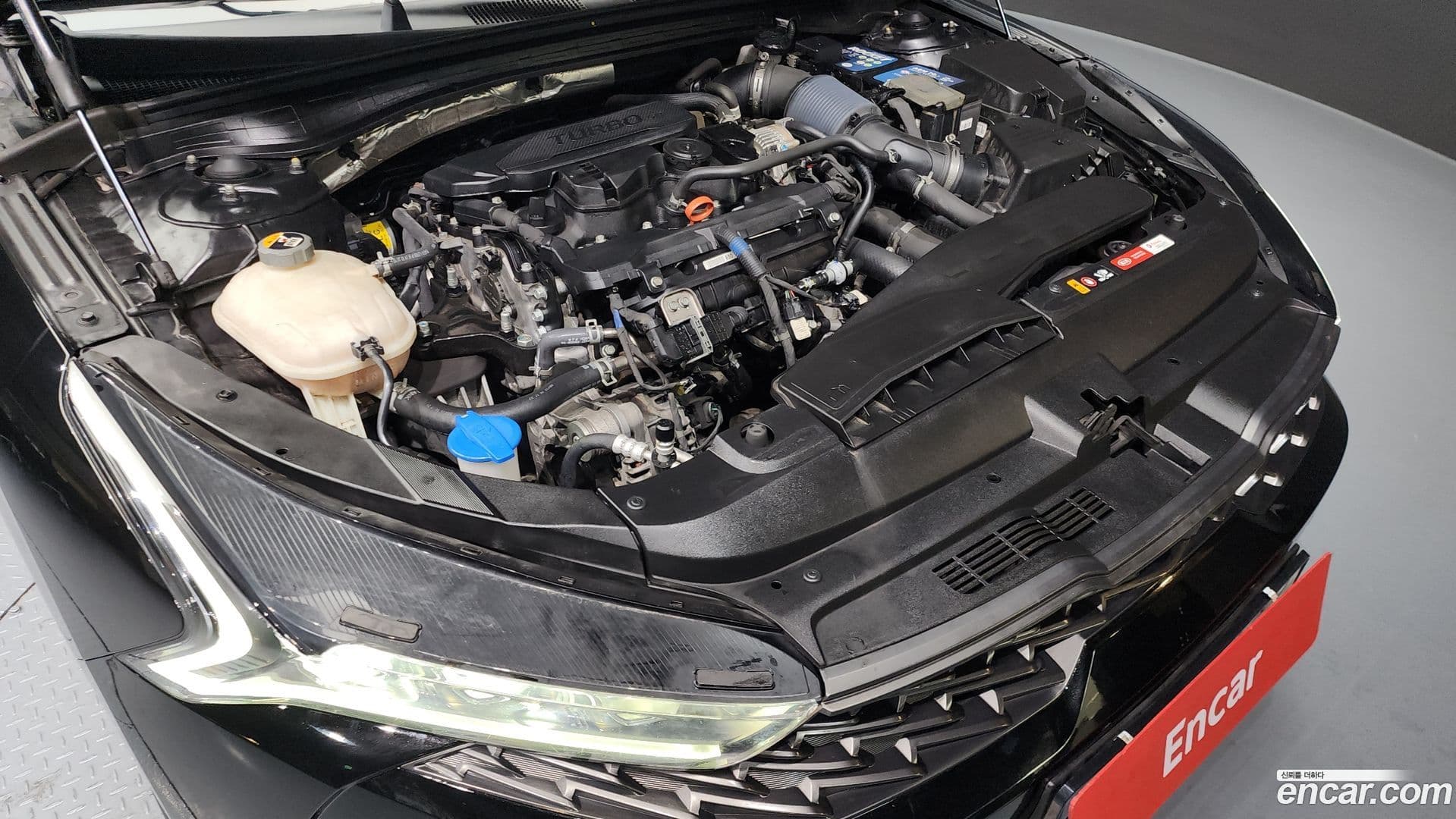 Main__Slider__Photo:K5 Kia 2020.10-5