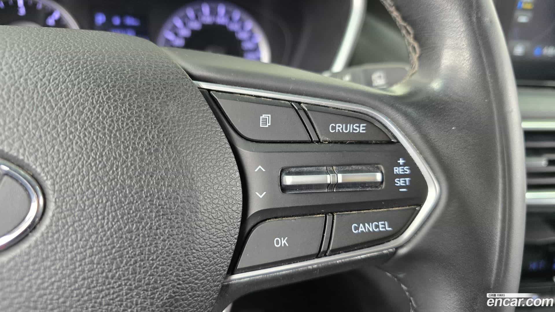 Santafe Hyundai 2019.4-OPTION-022