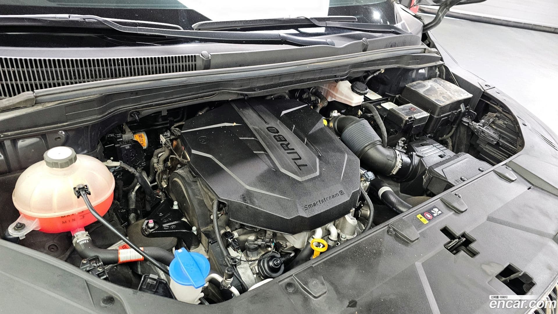 Main__Slider__Photo:Canival Kia 2021.2-5