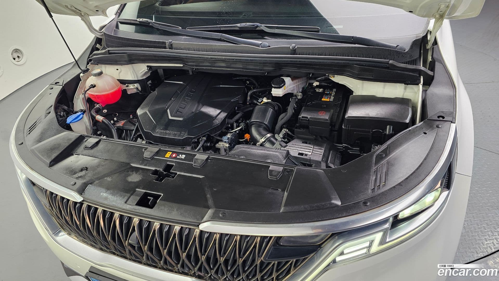 Main__Slider__Photo:Canival Kia 2021.0-5