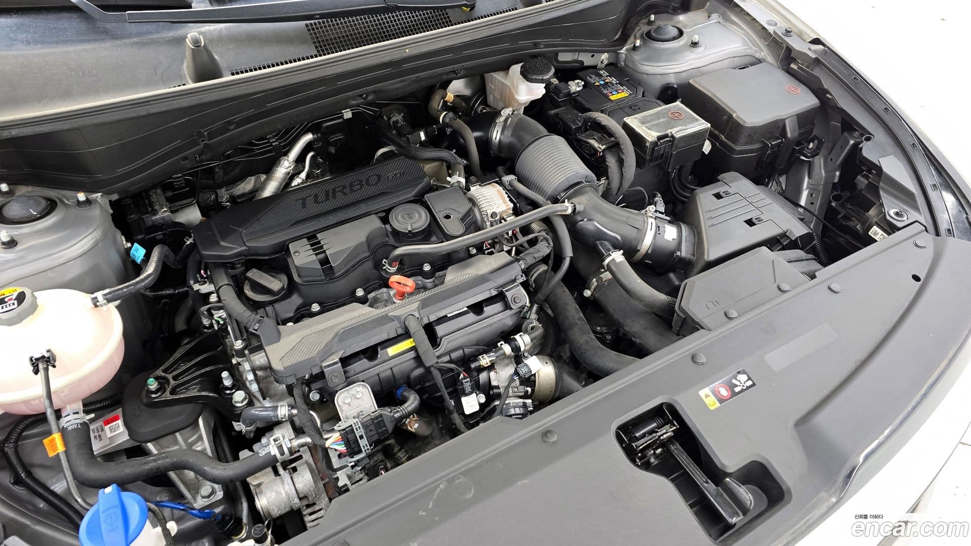 Main__Slider__Photo:Sportage Kia 2023.7-5