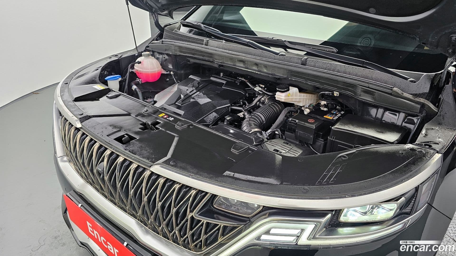 Main__Slider__Photo:Canival Kia 2022.4-5