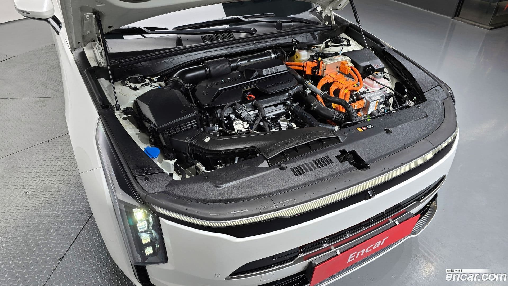 Main__Slider__Photo:K8 Kia 2024.9-5