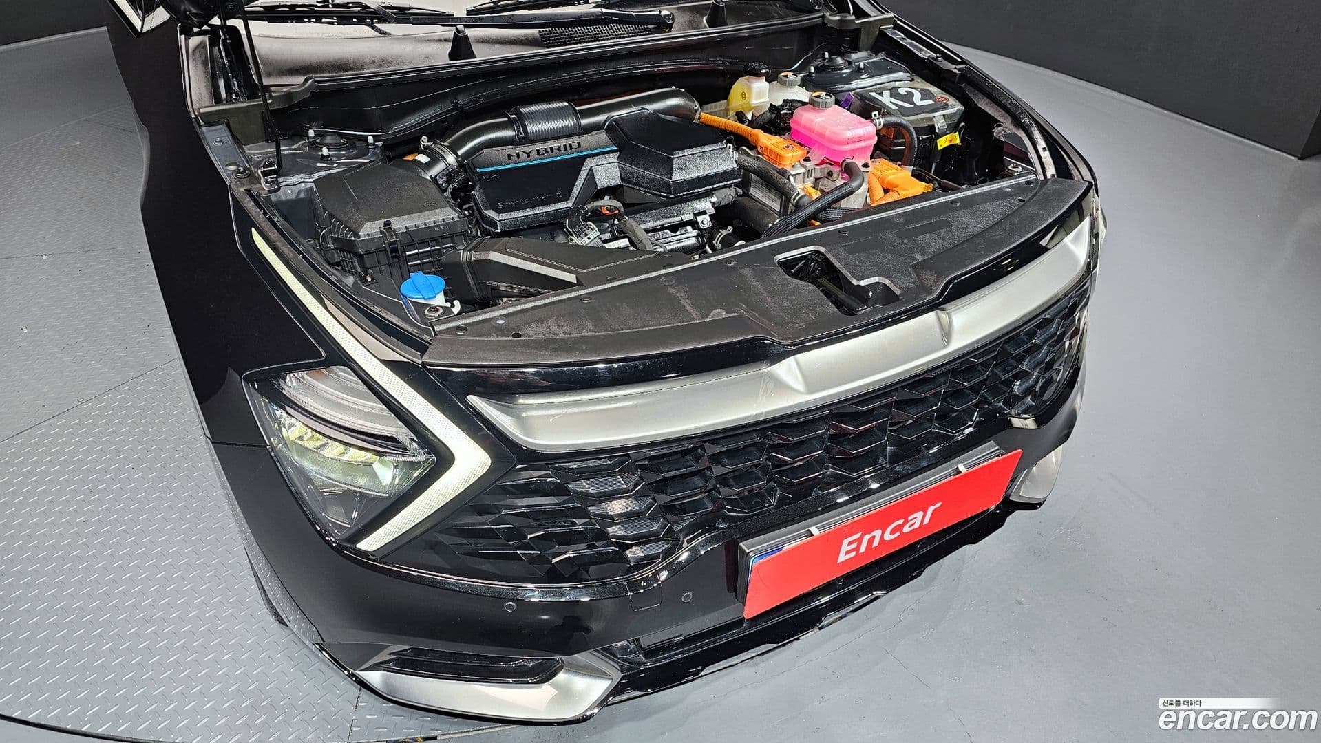 Main__Slider__Photo:Sportage Kia 2022.11-5