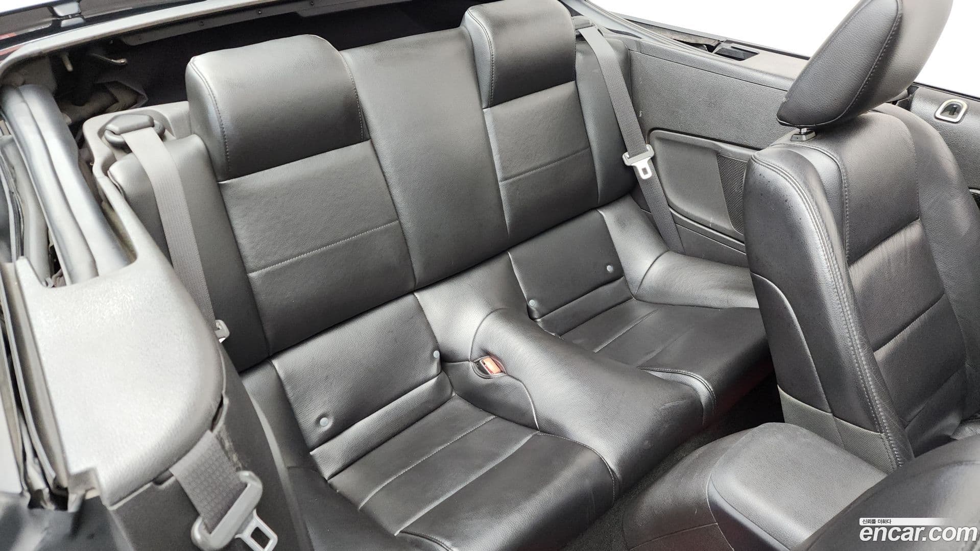 Main__Slider__Photo:Mustang Ford 2007.4-11