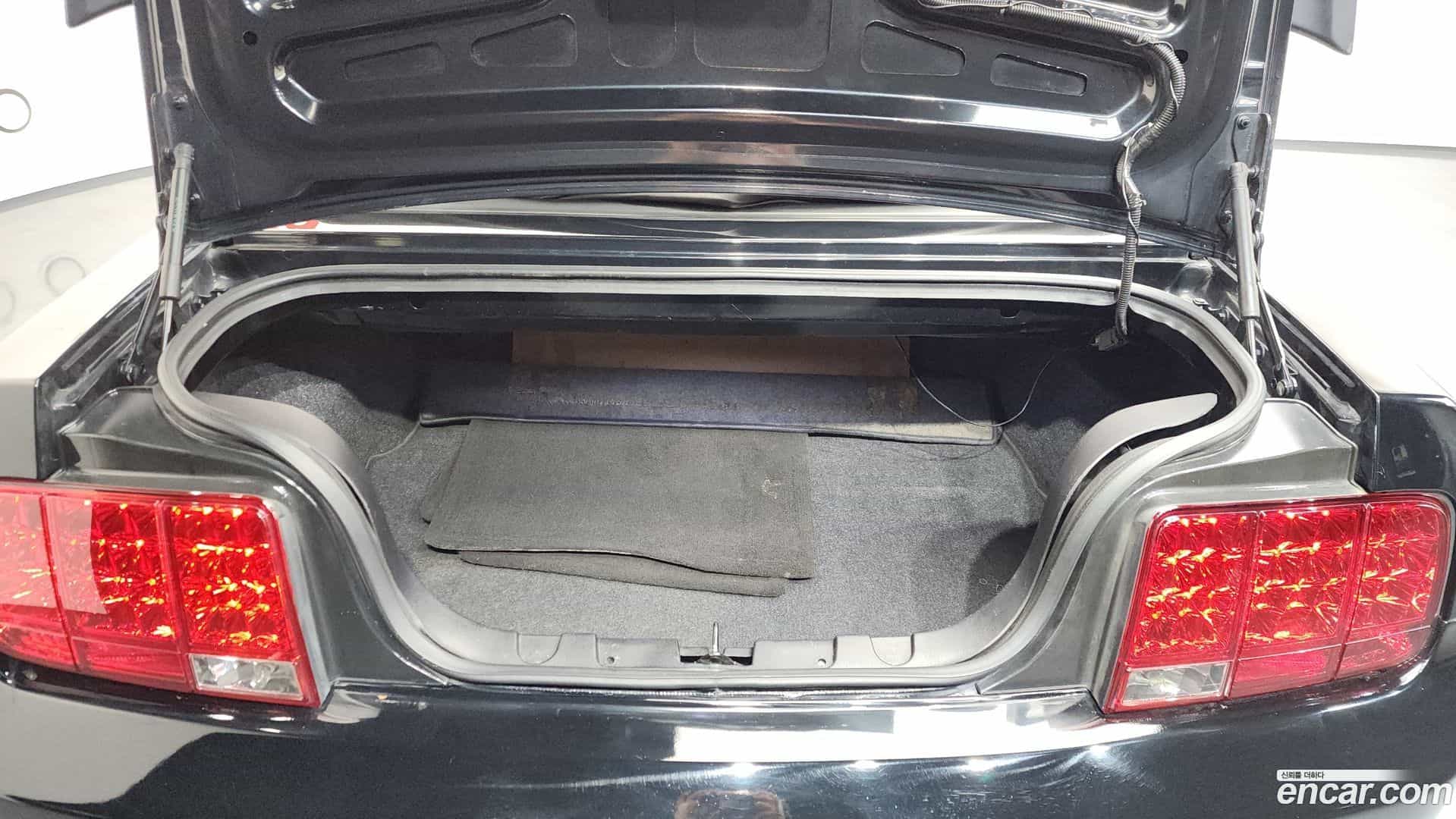 Mustang Ford 2007.4-OPTION-024