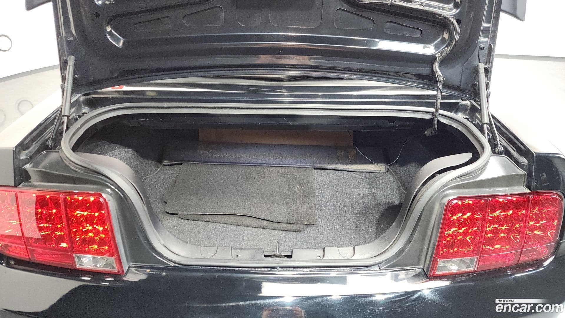 Main__Slider__Photo:Mustang Ford 2007.4-19