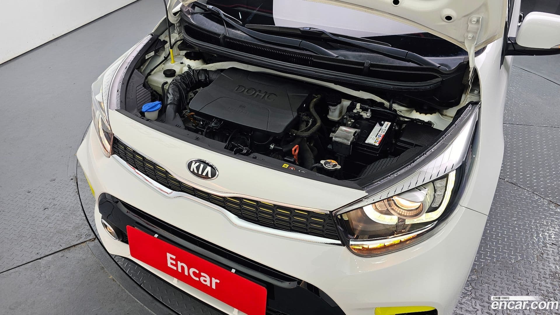 Main__Slider__Photo:morning Kia 2019.8-5