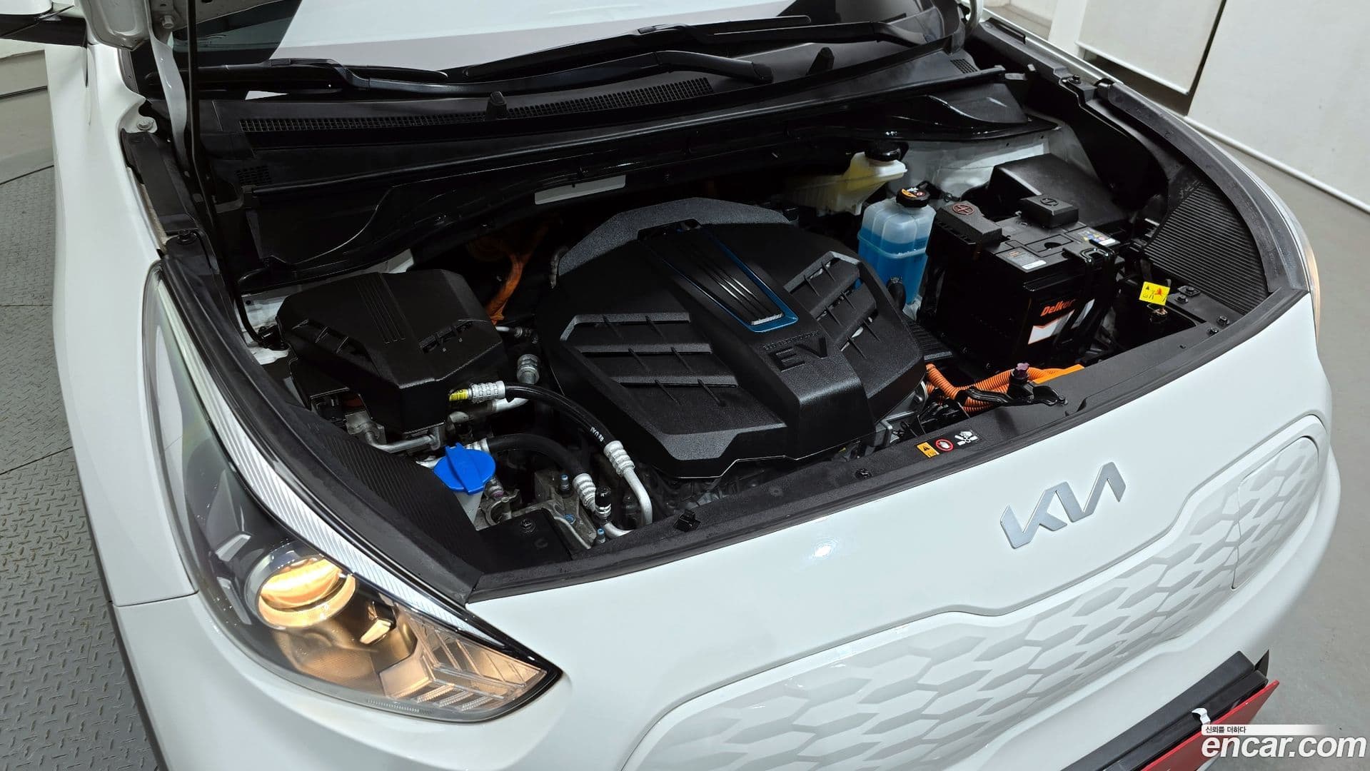 Main__Slider__Photo:Niro Kia 2022.5-5