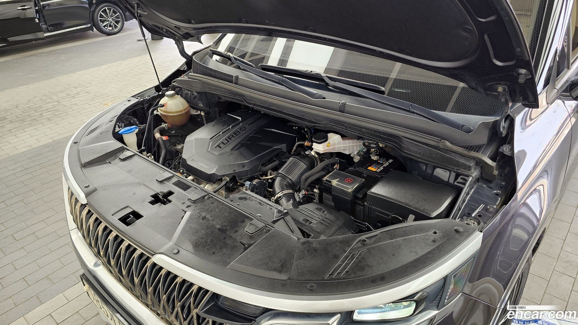 Main__Slider__Photo:Canival Kia 2020.8-5