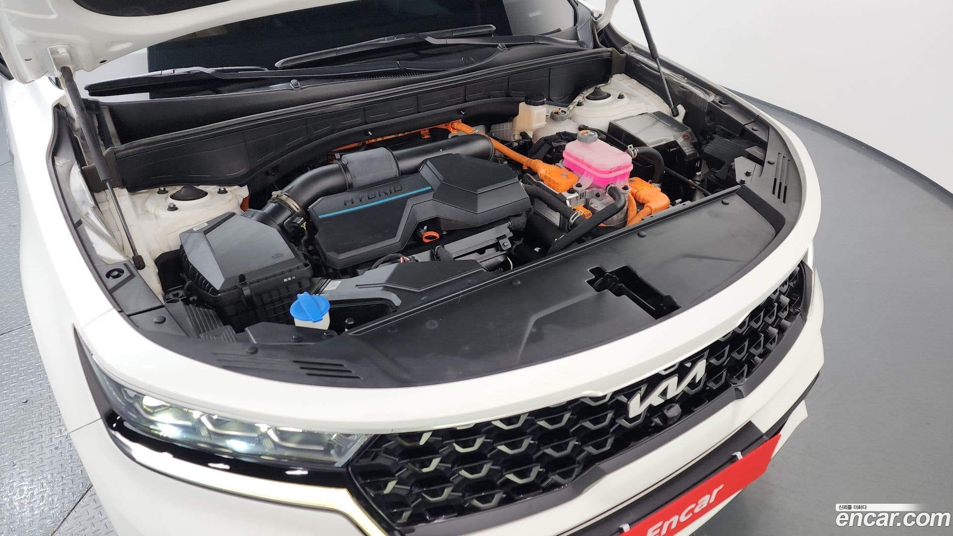 Main__Slider__Photo:Sorento Kia 2022.0-5