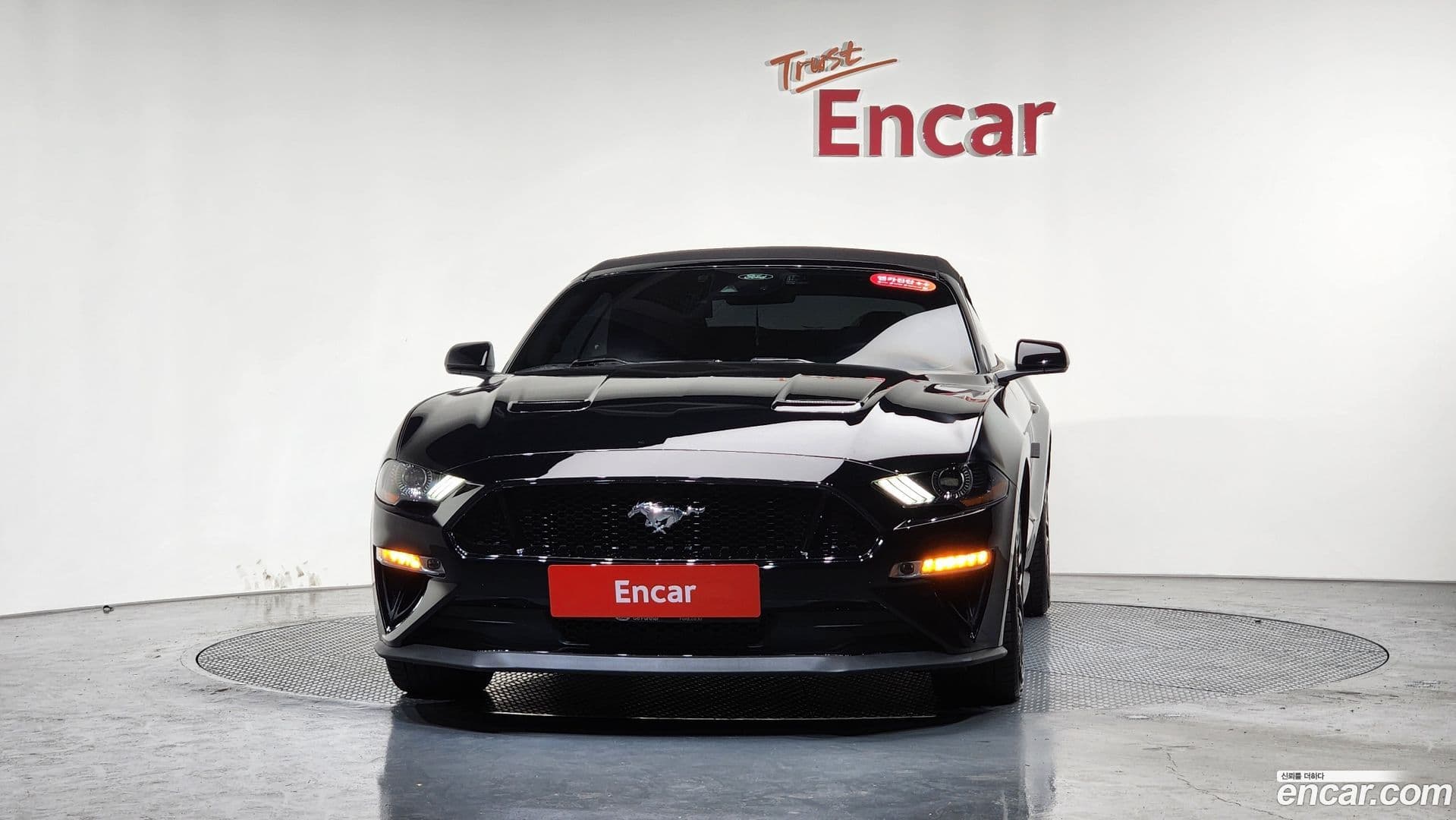 Main__Slider__Photo:Mustang Ford 2021.8-2