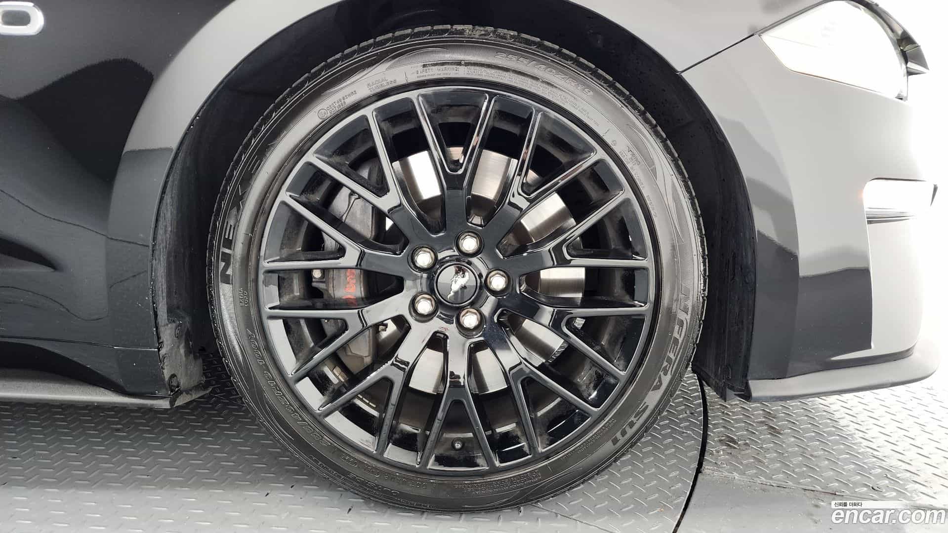 Mustang Ford 2021.8-OUTER-005