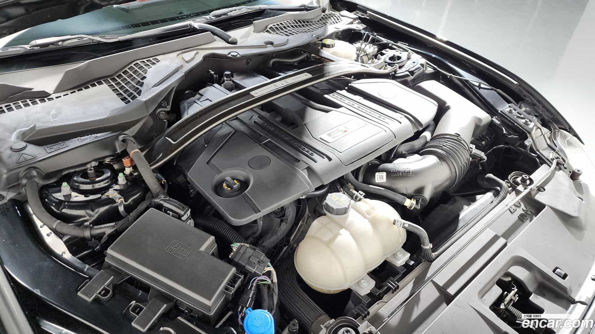 Mustang Ford 2021.8-OUTER-006