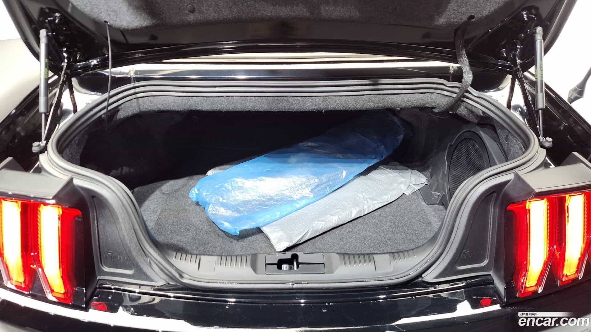 Mustang Ford 2021.8-OPTION-024