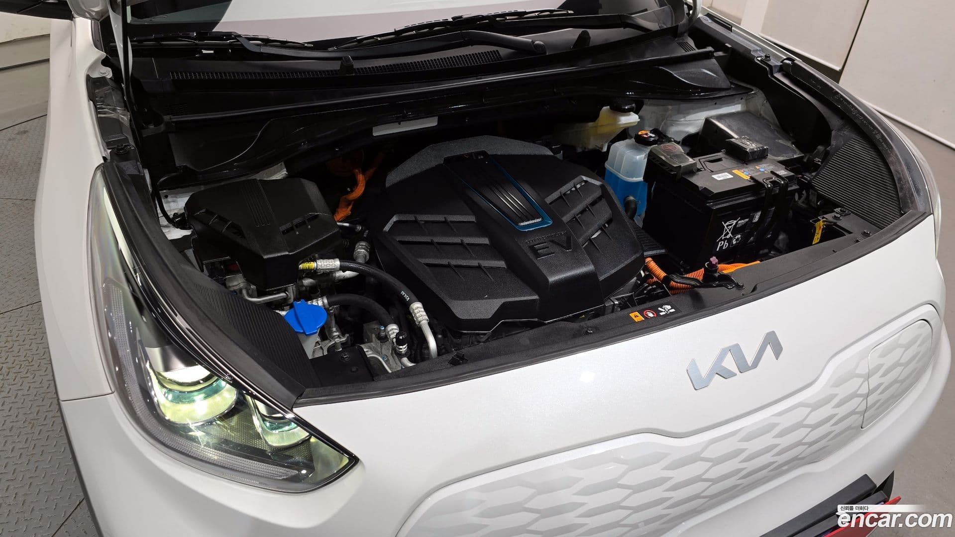 Main__Slider__Photo:Niro Kia 2022.10-5