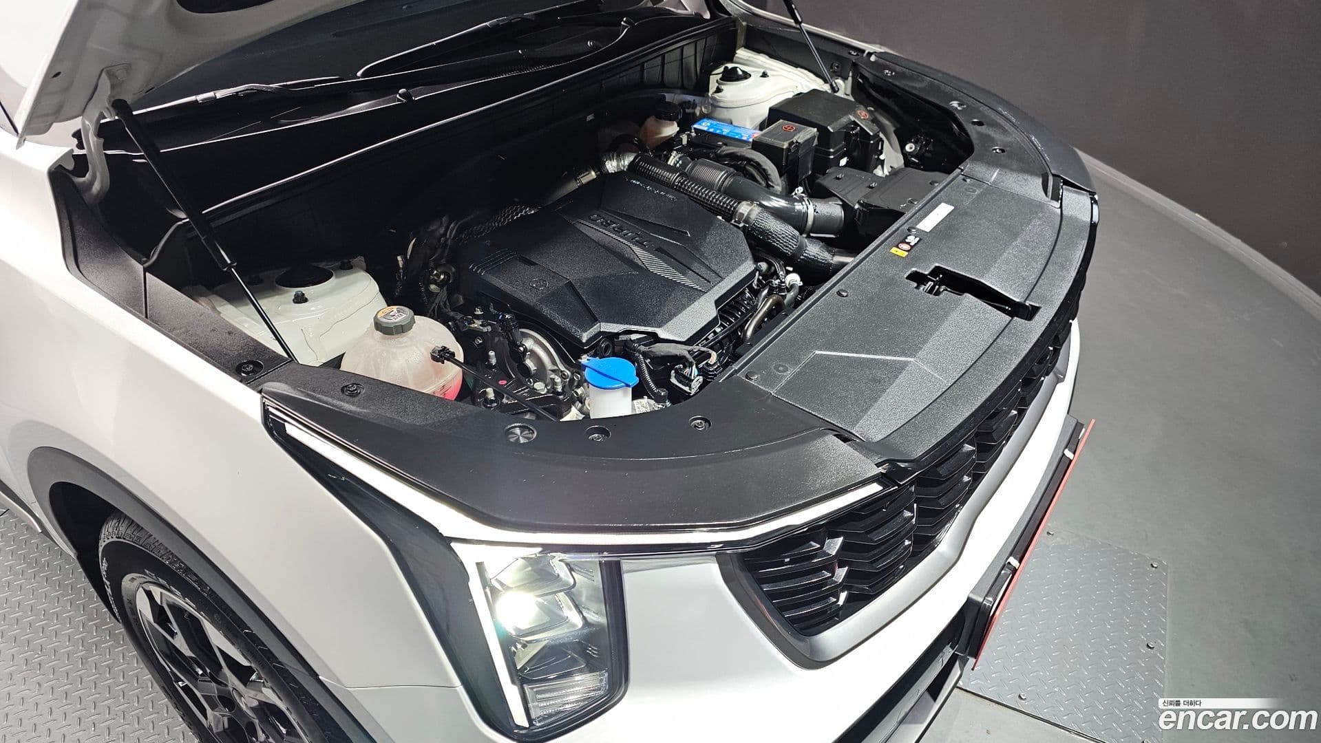 Main__Slider__Photo:Sorento Kia 2024.2-5