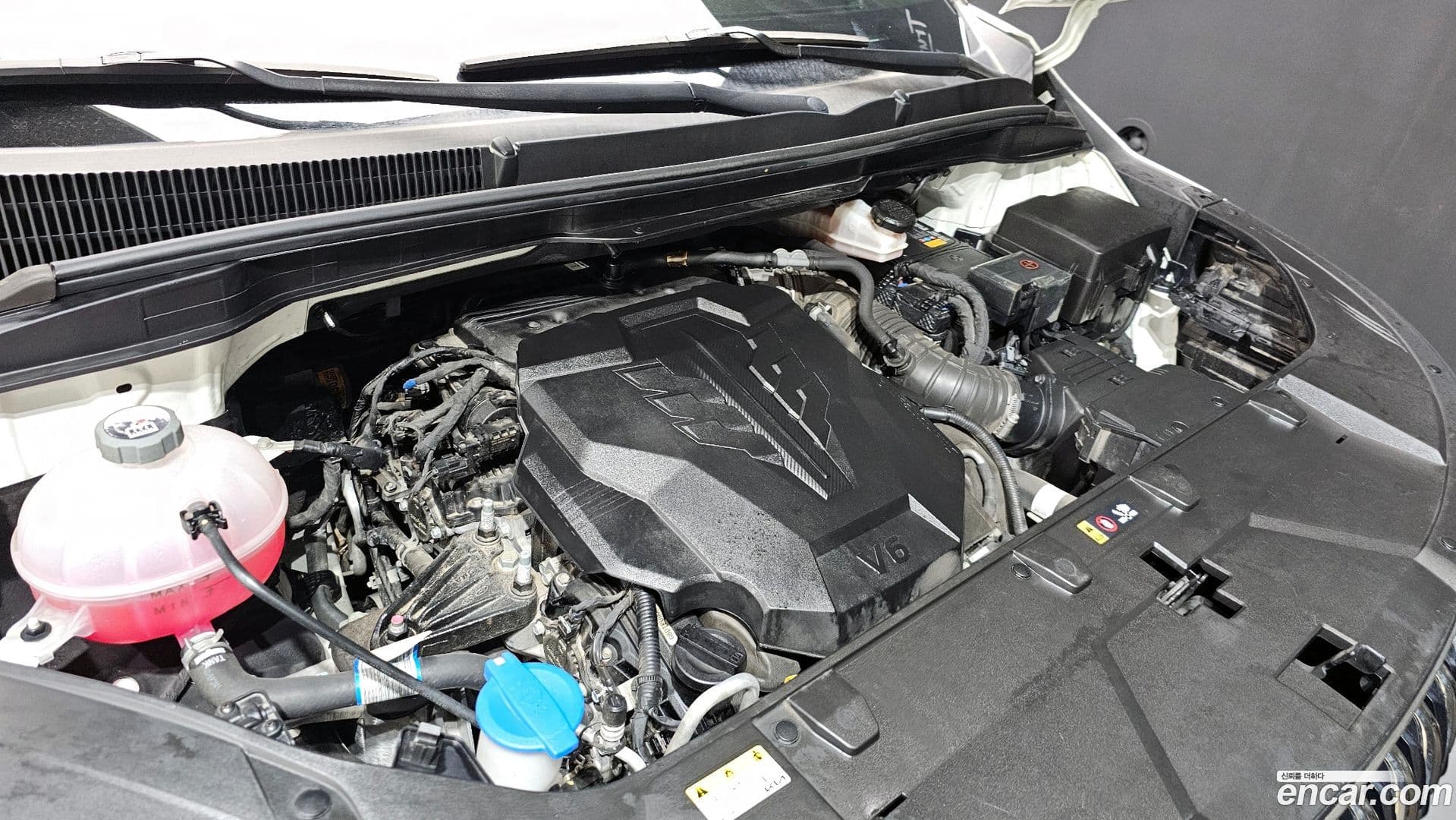 Main__Slider__Photo:Canival Kia 2023.1-5