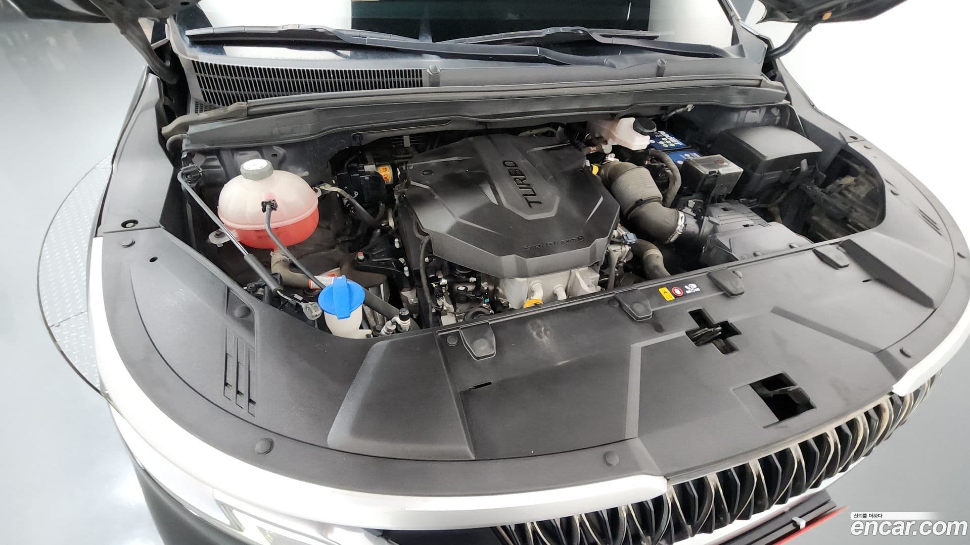 Main__Slider__Photo:Canival Kia 2021.5-5