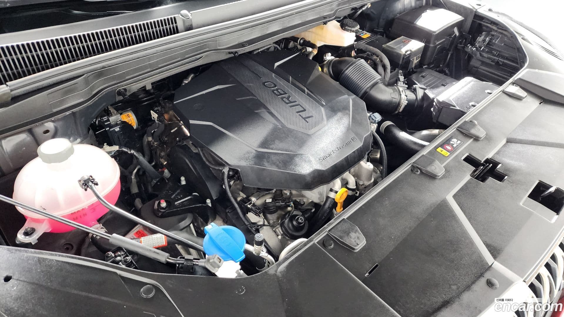 Main__Slider__Photo:Canival Kia 2021.6-5