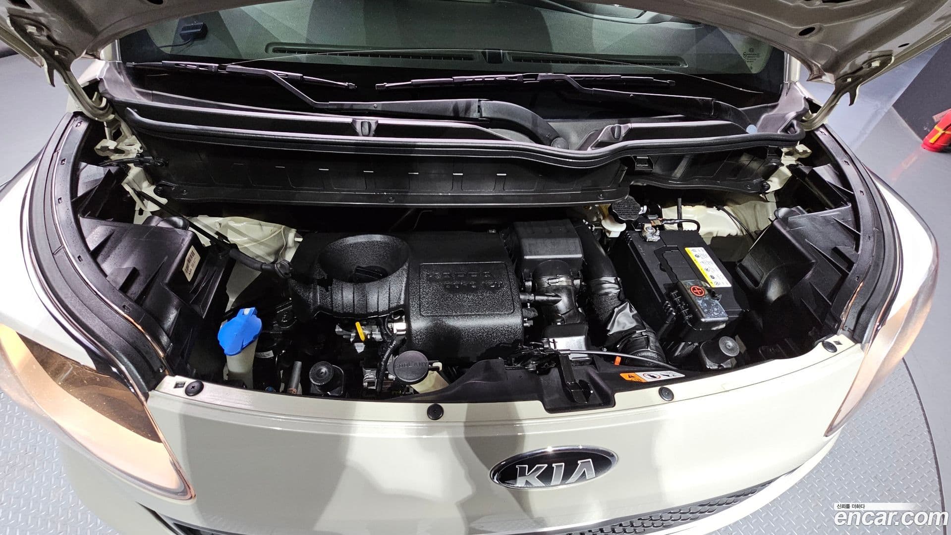 Main__Slider__Photo:RAY Kia 2012.10-5