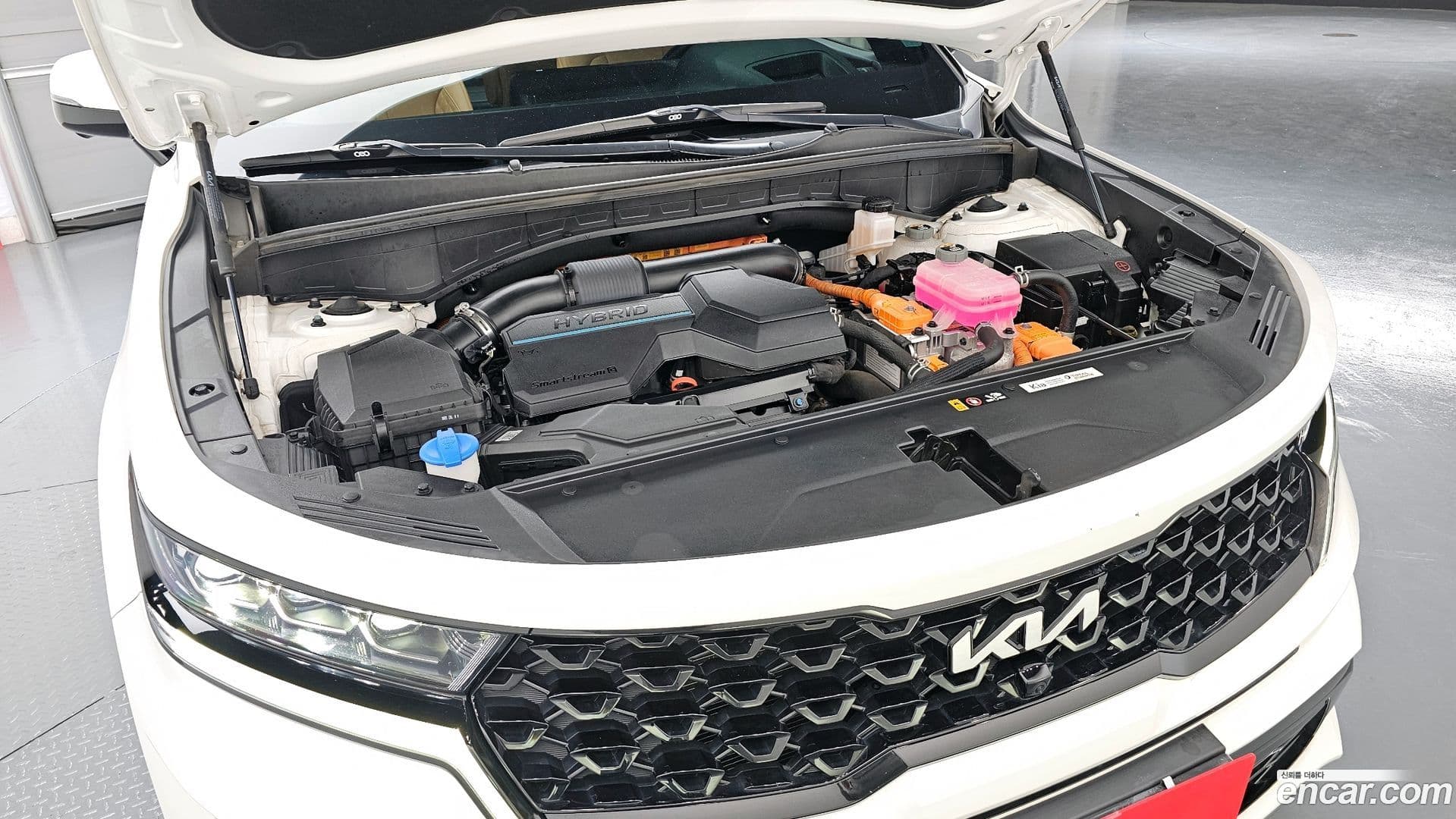 Main__Slider__Photo:Sorento Kia 2022.4-5