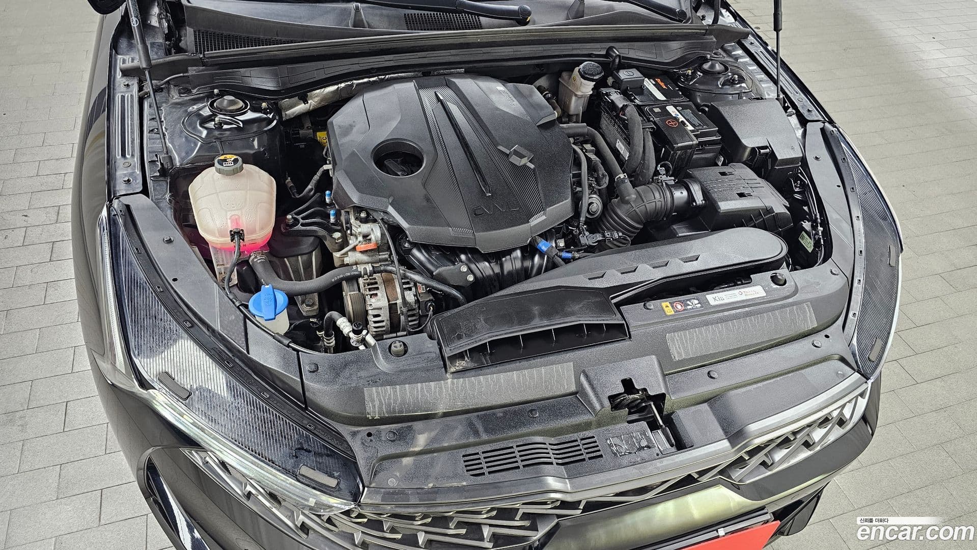 Main__Slider__Photo:K5 Kia 2022.1-5