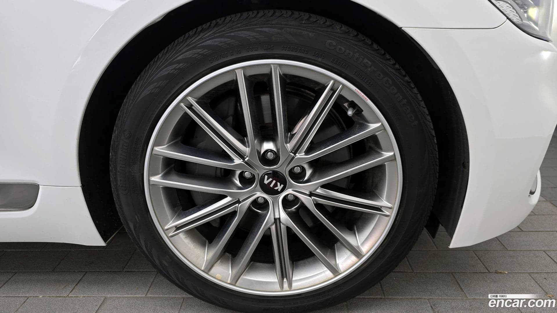 Main__Slider__Photo:K9 Kia 2019.8-4