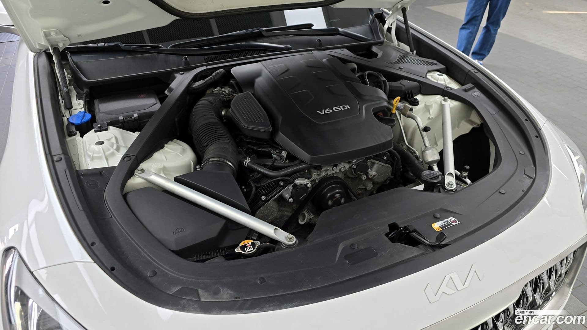 Main__Slider__Photo:K9 Kia 2019.8-5