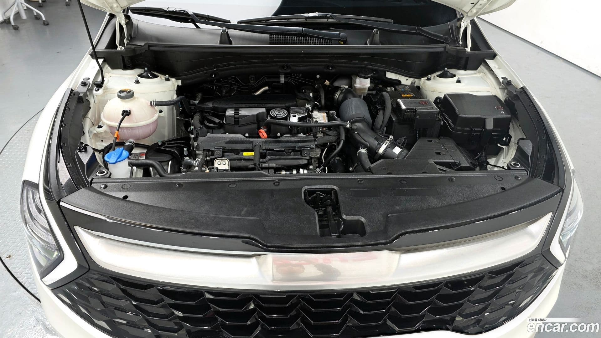 Main__Slider__Photo:Sportage Kia 2023.1-5