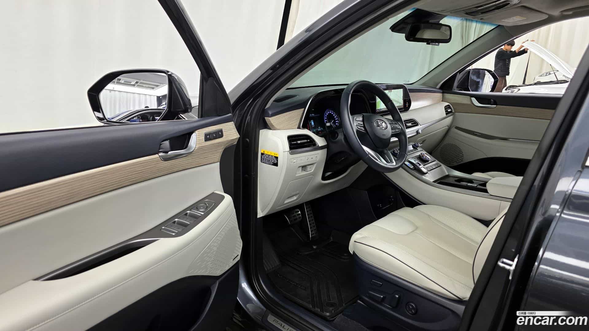 Palisade Hyundai 2020.6-OPTION-015