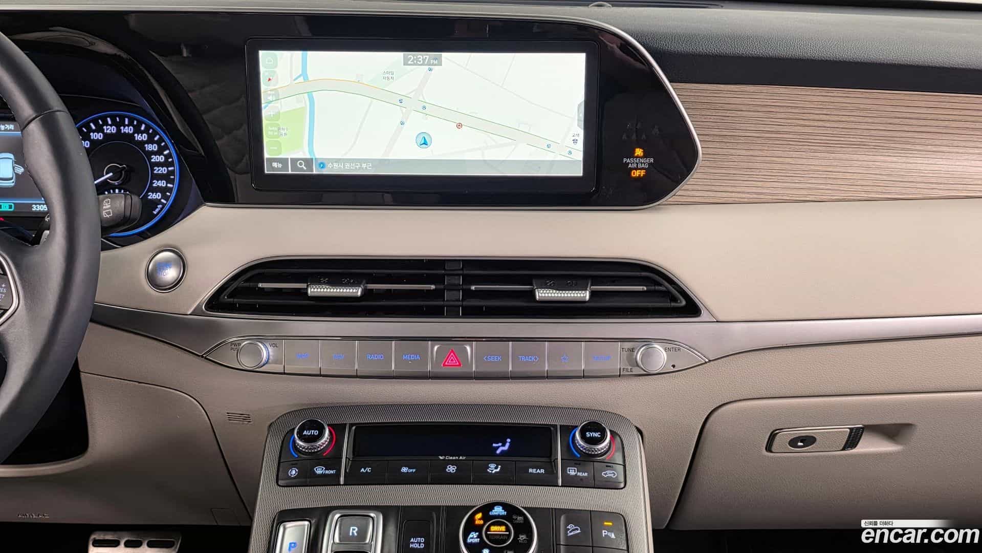 Palisade Hyundai 2020.6-OPTION-018