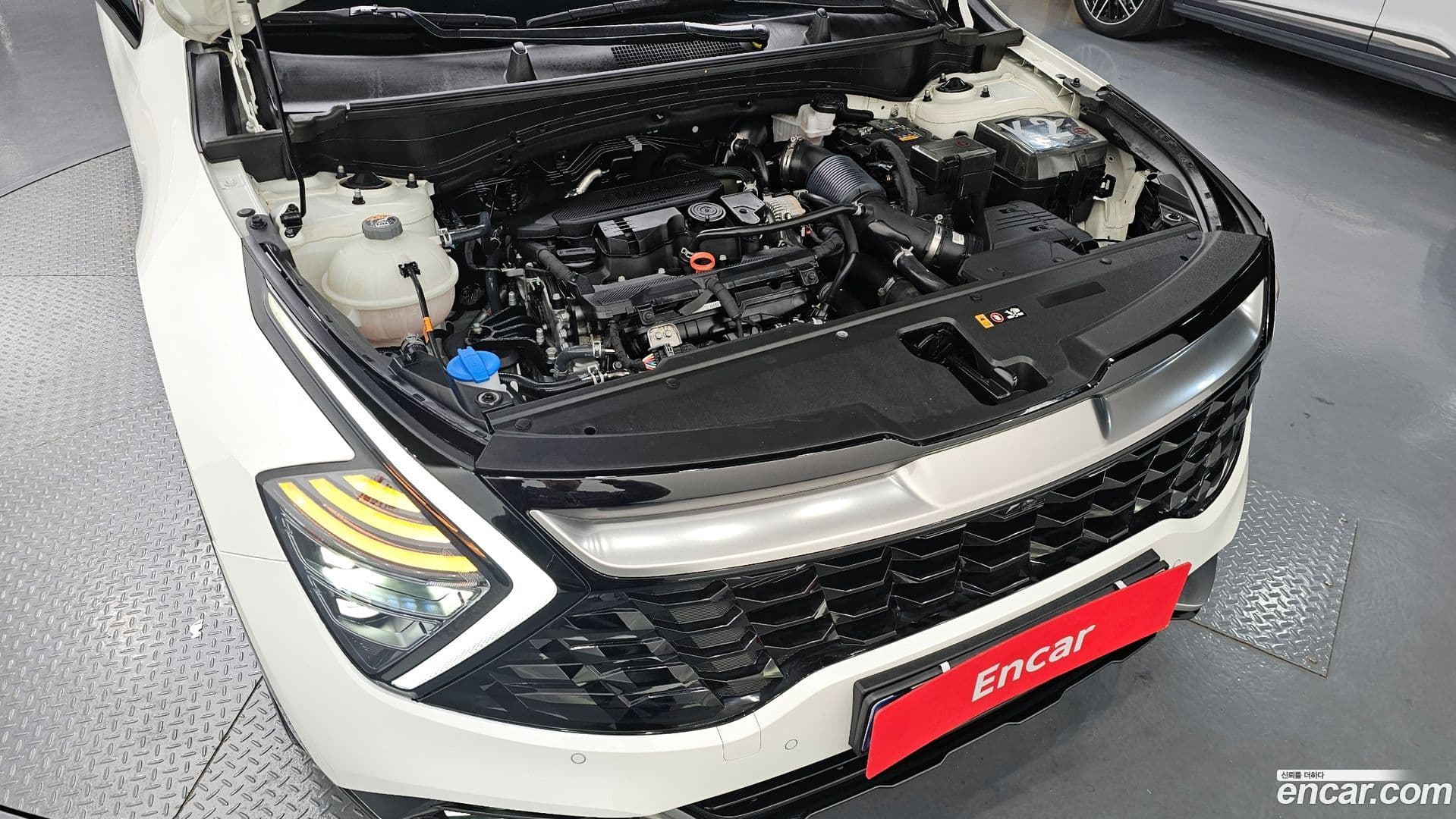 Main__Slider__Photo:Sportage Kia 2023.6-5